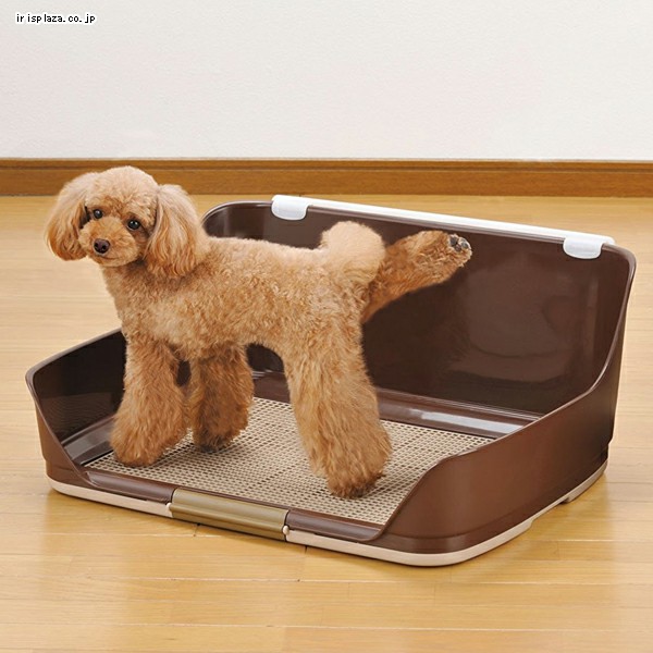 WAKO 小物トレイ　犬 ボンビアルコン しつけるウォールトレー M ブラウン 犬 トイレ 9219772