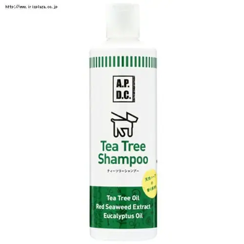 APDC�@�e�B�[�c���[�V�����v�[�@500ml�E5L�y�v���U�Z���N�g�z_2