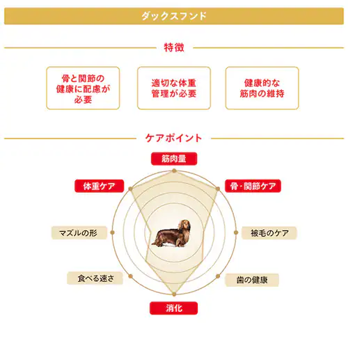 【4個セット】ロイヤルカナン 3kg ダックスフンド 犬 中〜高齢犬 8歳以上 ジッパー付き BHN(ブリード ヘルス ニュートリション)rcdb07_3