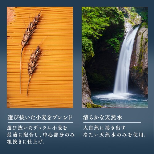 �f�B�`�F�R no11 �X�p�Q�b�e�B�[�j 500g�@_5