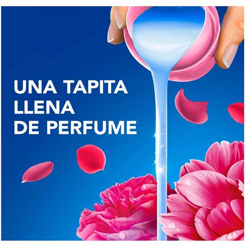 �y2�Z�b�g�z ���L�V�R�_�E�j�[ �A���}�t���[����  8.5L_4