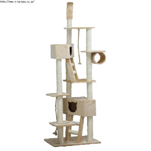 ��V��˂������L���b�g�^���[ QQ80037 �x�[�W��_2