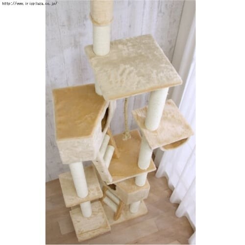 ��V��˂������L���b�g�^���[ QQ80037 �x�[�W��_5