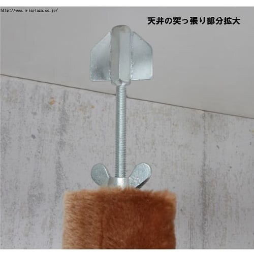 ��V��˂������L���b�g�^���[ QQ80037 �x�[�W��_7