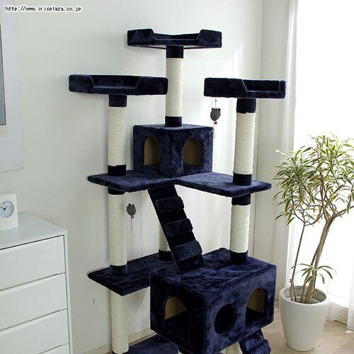 �L���b�g�^���[ �r�b�O �l�C�r�[�E�z���C�g�y�v���U�Z���N�g�z_2