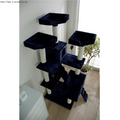 �L���b�g�^���[ �r�b�O �l�C�r�[�E�z���C�g�y�v���U�Z���N�g�z_3