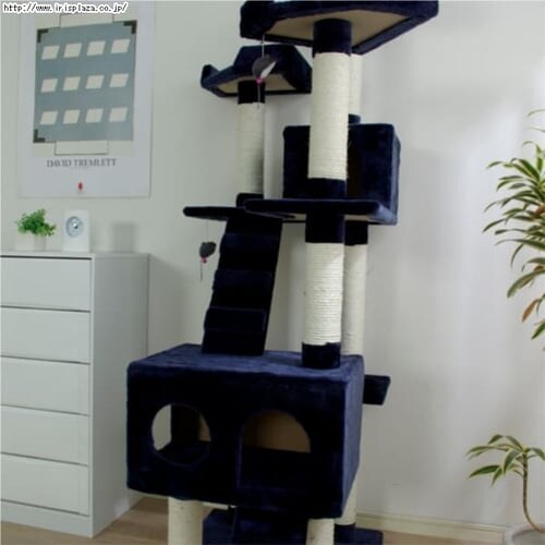 �L���b�g�^���[ �r�b�O �l�C�r�[�E�z���C�g�y�v���U�Z���N�g�z_4