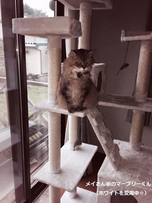 �L���b�g�^���[ �r�b�O �l�C�r�[�E�z���C�g�y�v���U�Z���N�g�z_10