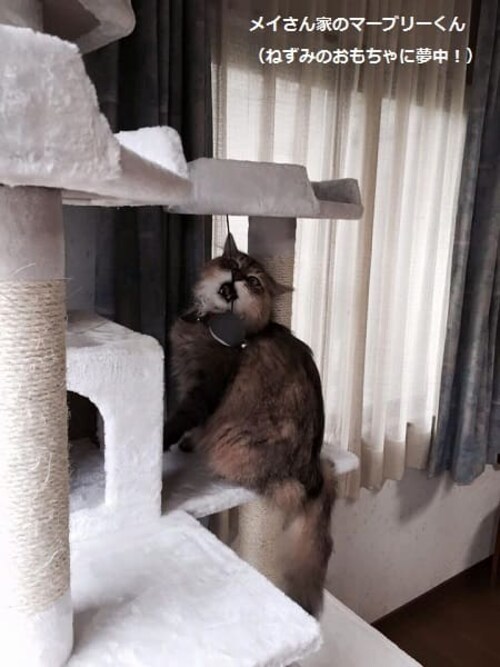 �L���b�g�^���[ �r�b�O �l�C�r�[�E�z���C�g�y�v���U�Z���N�g�z_12