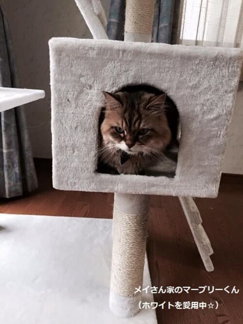 �L���b�g�^���[ �r�b�O �l�C�r�[�E�z���C�g�y�v���U�Z���N�g�z_13