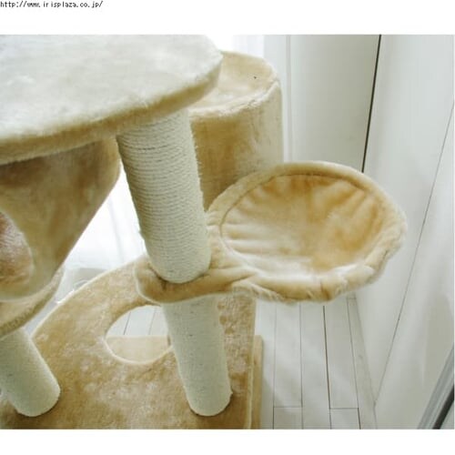 ≪置き型≫キャットタワー ロータイプ QQ80083 ブラウン_5