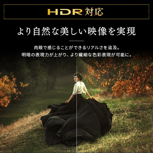 �X�}�[�g�e���r 40V�^ LUCA 40FEA20_8