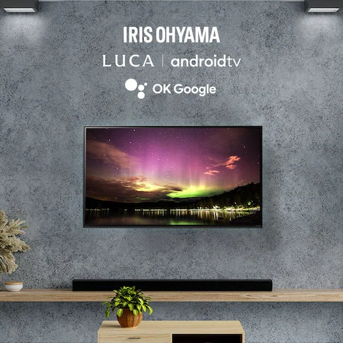 �y�󂠂�z�X�}�[�g�e���r 40V�^ LUCA 40FEA20 _2