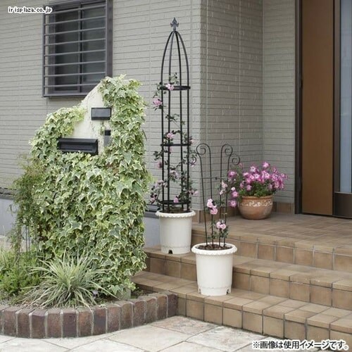 �I�x���X�N�X�����V���[�g GSTR-RC15S_2