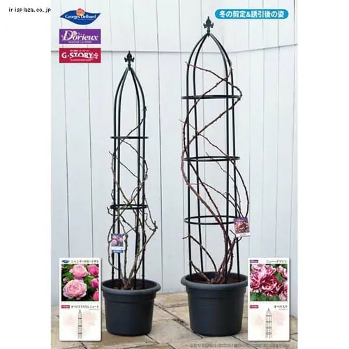 �I�x���X�N�X�����V���[�g GSTR-RC15S_5