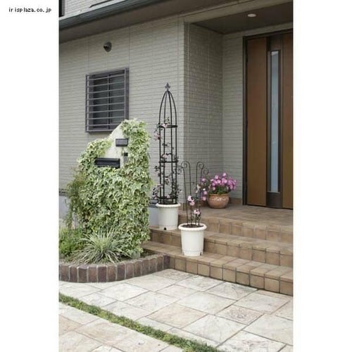 �I�x���X�N�X�����V���[�g GSTR-RC15S_7