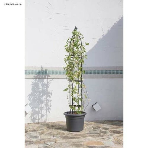 �I�x���X�N�X�����V���[�g GSTR-RC15S_8