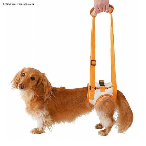 ペティオ（Petio）老犬介護用 歩行補助ハーネス 後足用K Lサイズ