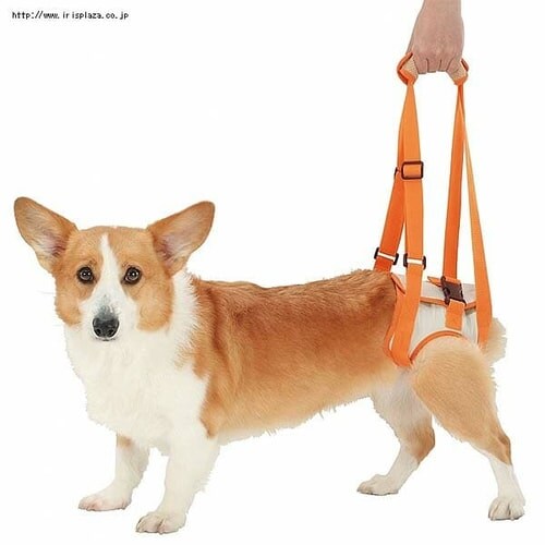 �y�e�B�I�iPetio�j�V�����p�@���s�⏕�n�[�l�X�@�㑫�pK�@M�EL�T�C�Y�y�v���U�Z���N�g�z_5