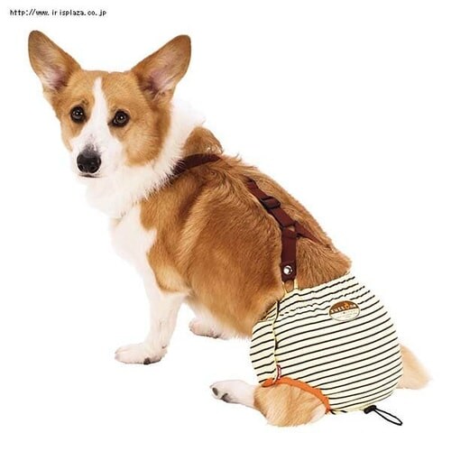 �y�e�B�I�iPetio�j�V�����p�@���ނp���cK�@M�EL�E2L�E3L�T�C�Y�y�v���U�Z���N�g�z_5