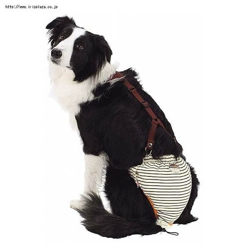 �y�e�B�I�iPetio�j�V�����p�@���ނp���cK�@M�EL�E2L�E3L�T�C�Y�y�v���U�Z���N�g�z_7