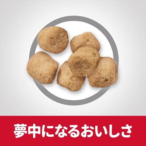 �q���Y �T�C�G���X�_�C�G�b�g ��D�E�����L�p ��D�E������`6�� �`�L�� 1.8kg_6