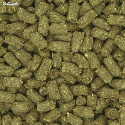 �C�[�X�^�[ �o�j�[�Z���N�V���� �����e�i���X 6.5kg _2