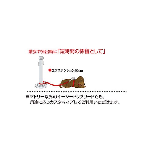 ���p ���[�h  �G�N�X�e���V���� ���[�h 60cm �s���N�J�� EZYDOG �C�[�W�[�h�b�O_4