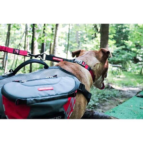 ���p ��� �`�F�b�N���C�g S �u���b�N EZYDOG �C�[�W�[�h�b�O_2