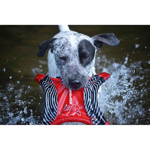 �h�b�O�X�^�[�t���C���[ ���b�h  EZ _6