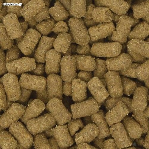 �C�[�X�^�[ �t�F���b�g�Z���N�V���� �p�t�H�[�}���X 1.5kg�i250g�~6�j_2