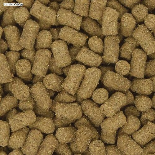 �C�[�X�^�[ �t�F���b�g�Z���N�V���� �V�j�A 1.5kg�i250g�~6�j�y�v���U�Z���N�g�z_2