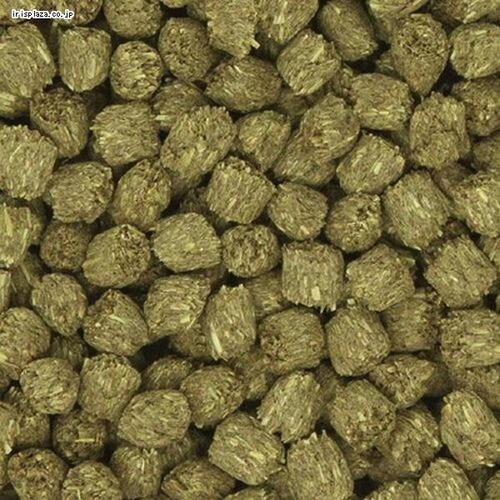 �C�[�X�^�[ �o�j�[�Z���N�V���� ���b�v�C���[��p 1.3kg _2