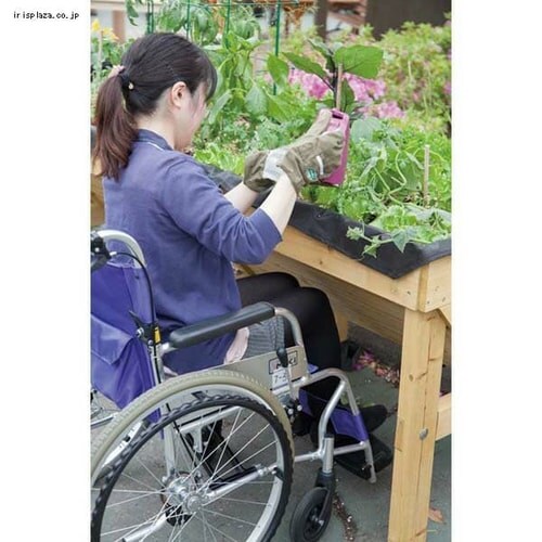 �z�[���x�W�g���O�@S�@VGT-01_2