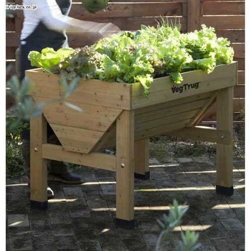 �z�[���x�W�g���O�@S�@VGT-01_3