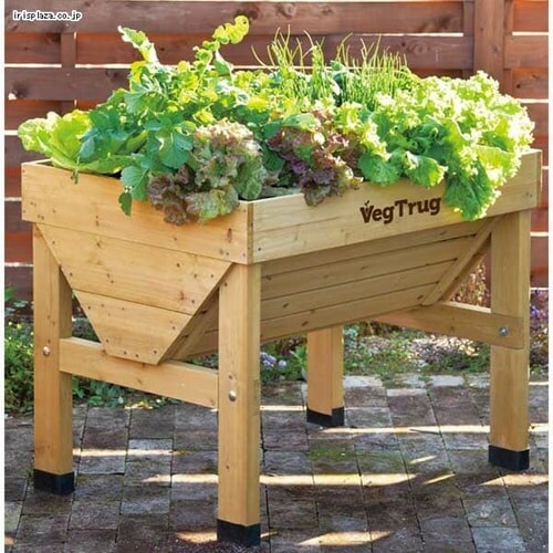 �z�[���x�W�g���O�@S�@VGT-01_6