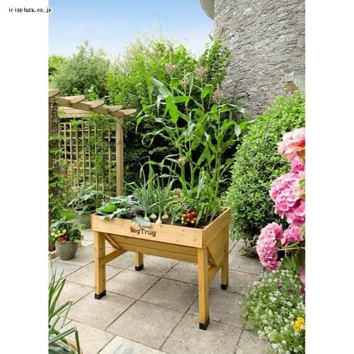 �z�[���x�W�g���O�@S�@VGT-01_7