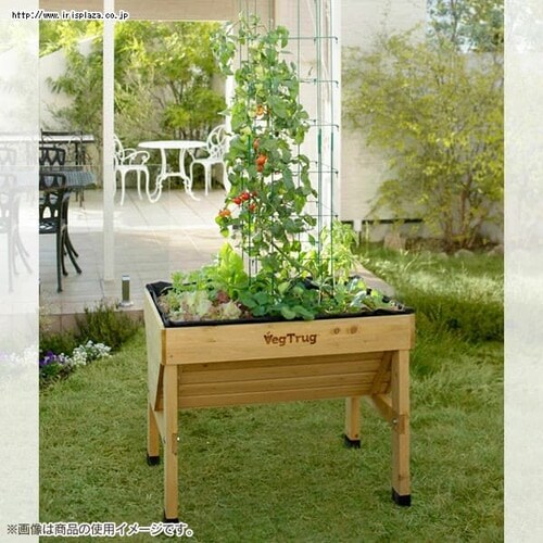 ホームベジトラグミニ VGT-03_2