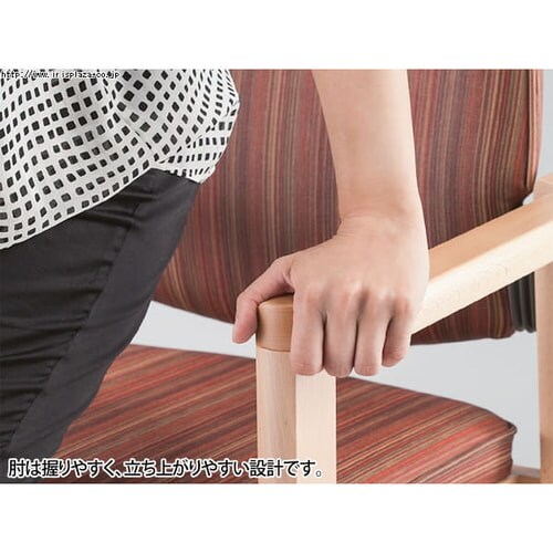 �_�C�j���O�`�F�A JUZA CFLD-FN ���b�h�y������s�z_4