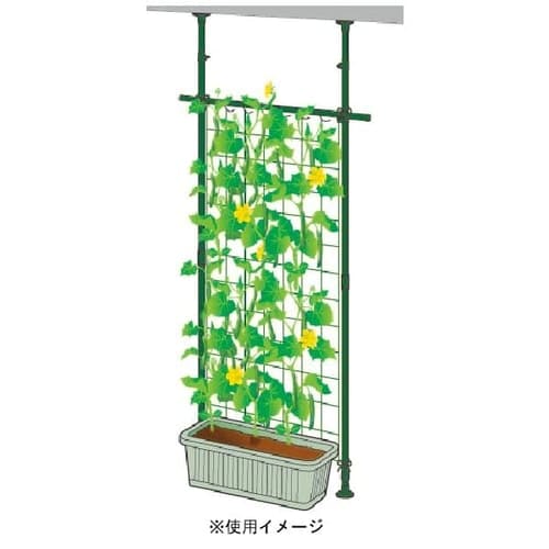 木原先生の「おいしい寄せ植え講座」