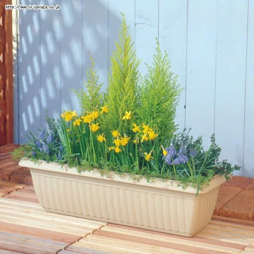 レリーフプランター 370・470・550・650・700・850 テラコッタブラウン・ウォームベージュ 【単品・お得なセット】_3