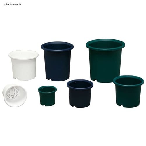 �f�B�[�|�b�g�@10���@�z���C�g_3