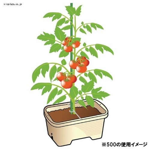 �x���z���_�[�t��؃v�����^�[500 �x�[�W��_2