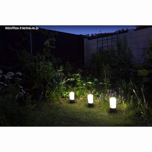 �d�r���K�[�f���Z���T�[���C�g ZSL-SEW �u���b�N/�z���C�g �y�P�i�E�����ȃZ�b�g�z_2