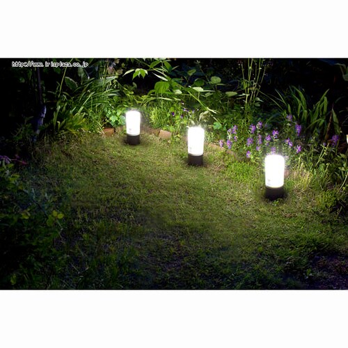 �d�r���K�[�f���Z���T�[���C�g ZSL-SEW �u���b�N/�z���C�g �y�P�i�E�����ȃZ�b�g�z_3