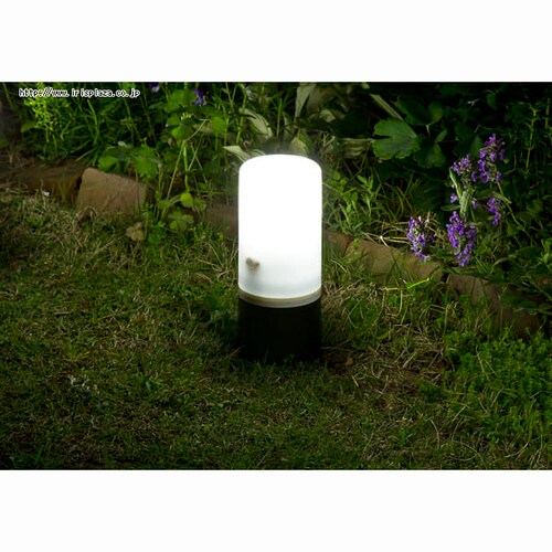 �d�r���K�[�f���Z���T�[���C�g ZSL-SEW �u���b�N/�z���C�g �y�P�i�E�����ȃZ�b�g�z_5