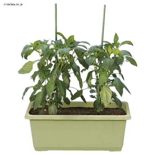 �x�W�^�u���v�����^�[ 480 �e���R�b�^�u���E��_4