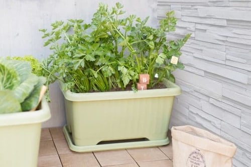 ≪支柱ホルダー6本付き！≫【3個セット】エアーベジタブルプランター