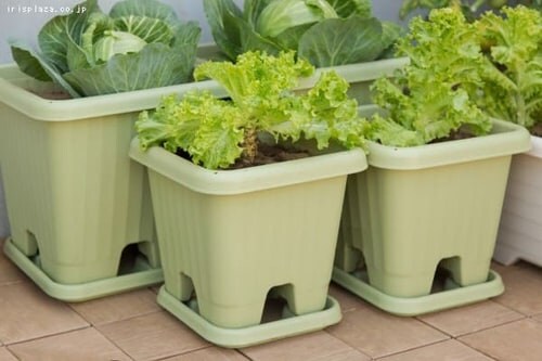 ��x���z���_�[6�{�t���I��y3�Z�b�g�z�G�A�[�X�N�G�A�v�����^�[ 400 �x�W�^�u���O���[���@_2