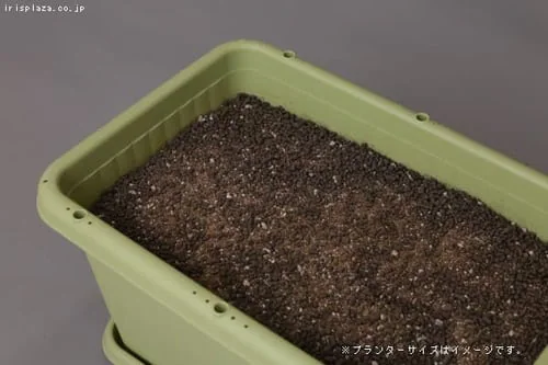 ��x���z���_�[6�{�t���I��y3�Z�b�g�z�G�A�[�X�N�G�A�v�����^�[ 300 �x�W�^�u���O���[��_3